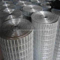 Welded Mesh Dog Fence